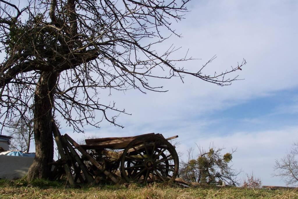 Stilvolles Landhaus Im Dreilaendereck Felsőszölnök Εξωτερικό φωτογραφία